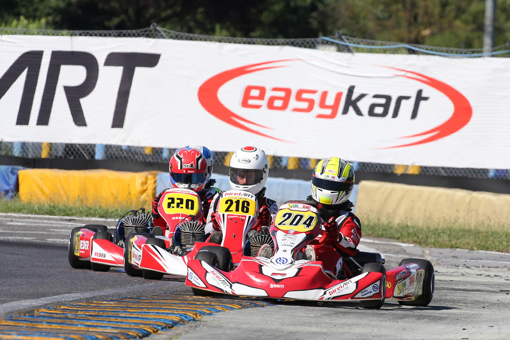 Easykart 100