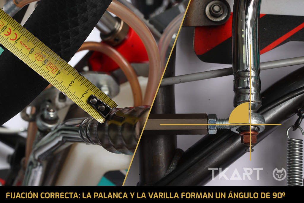Testo Alternativo